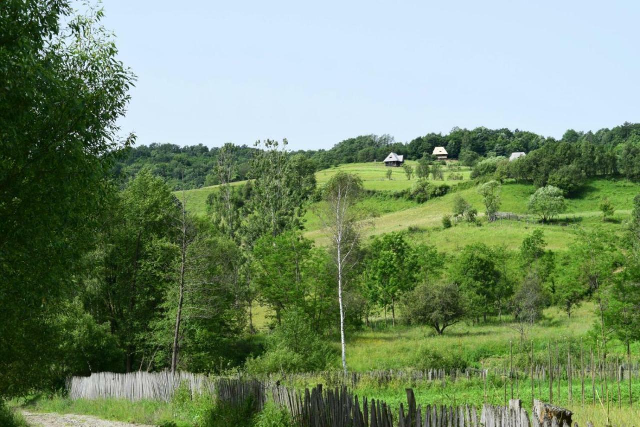 Casa Glod Guest House Glod  Екстериор снимка