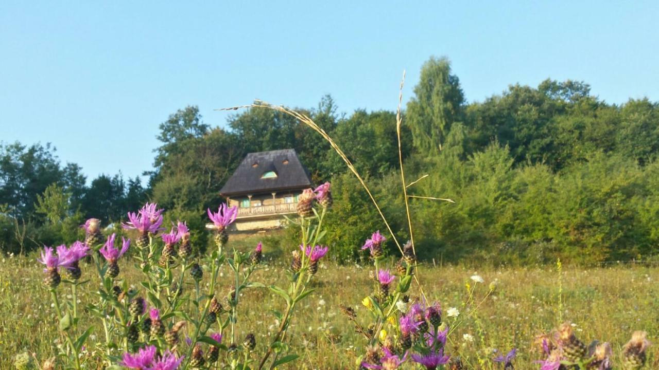 Casa Glod Guest House Glod  Екстериор снимка