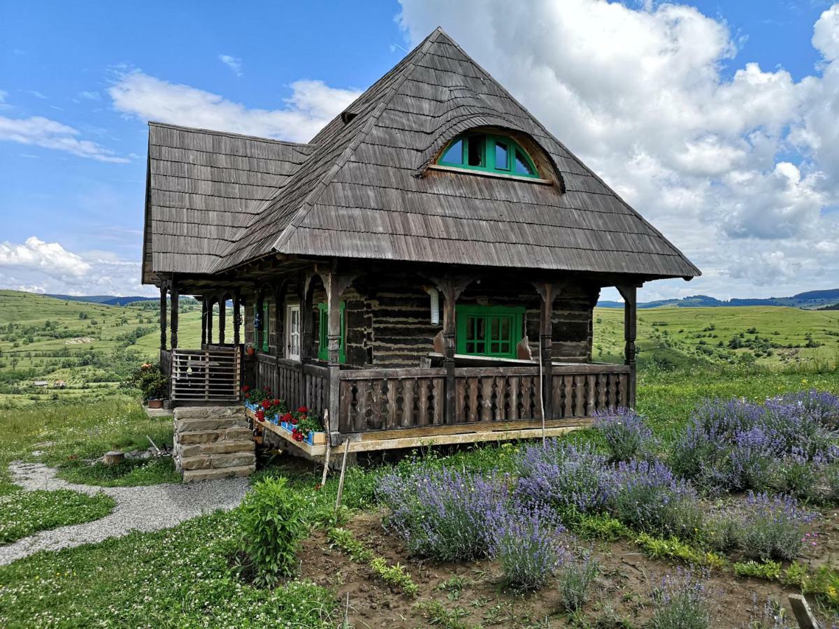 Casa Glod Guest House Glod  Екстериор снимка