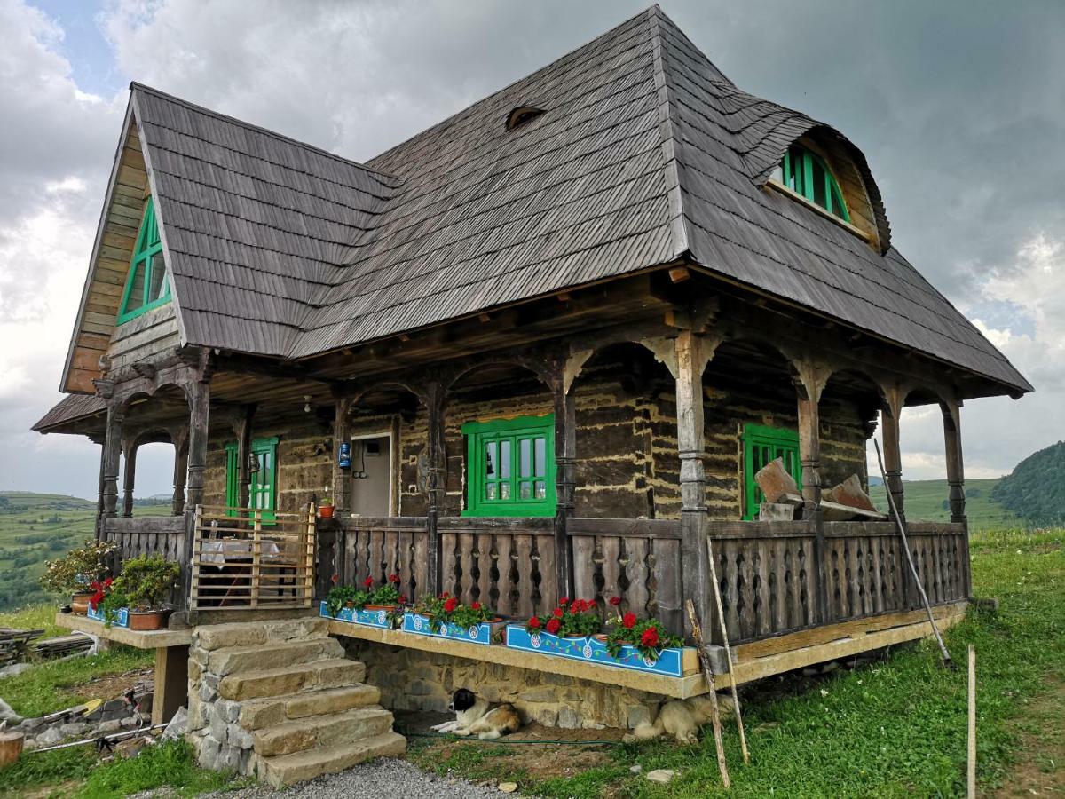 Casa Glod Guest House Glod  Екстериор снимка