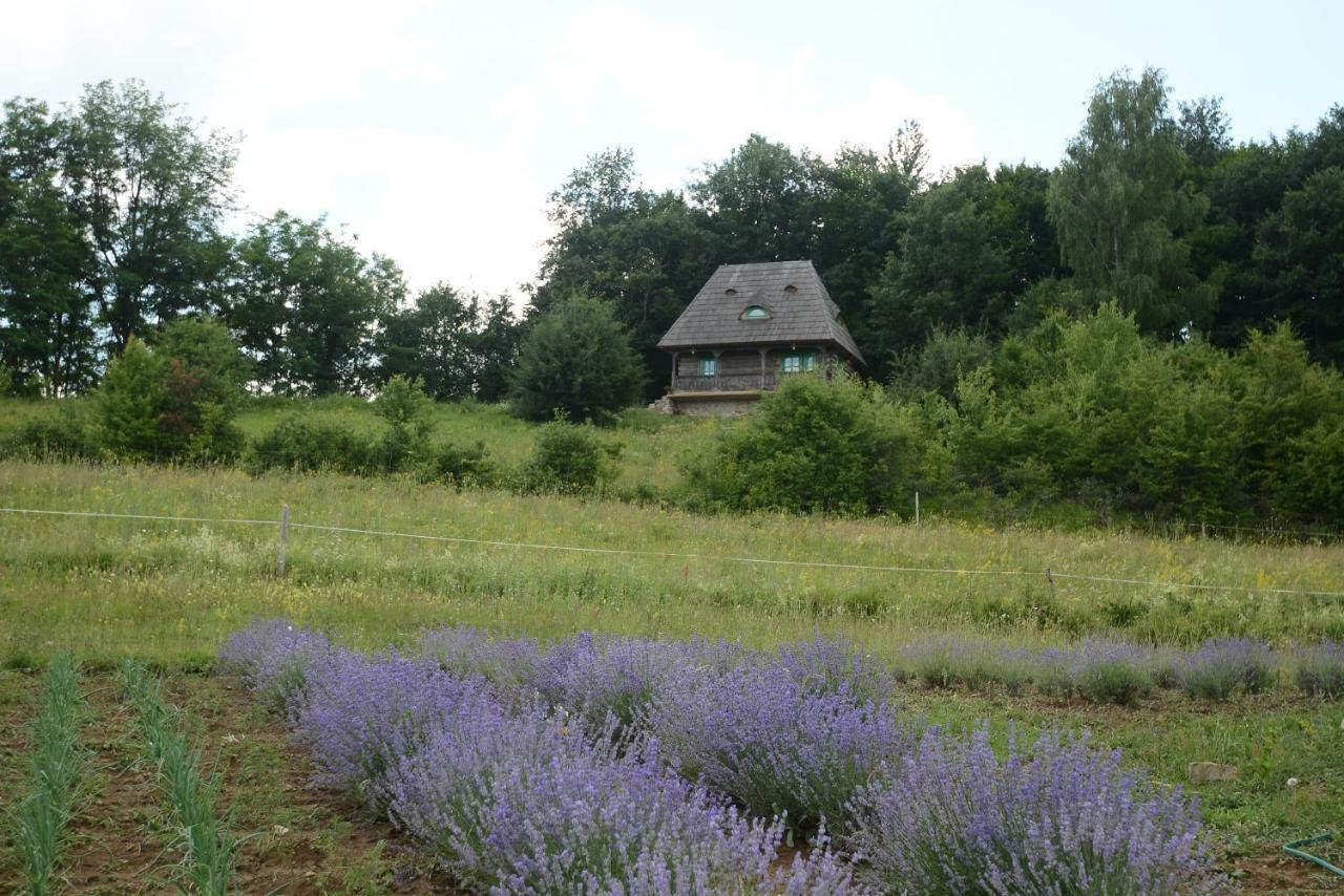 Casa Glod Guest House Glod  Екстериор снимка