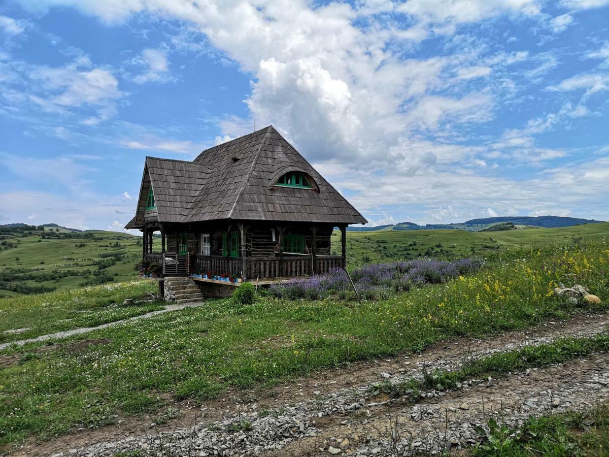 Casa Glod Guest House Glod  Екстериор снимка