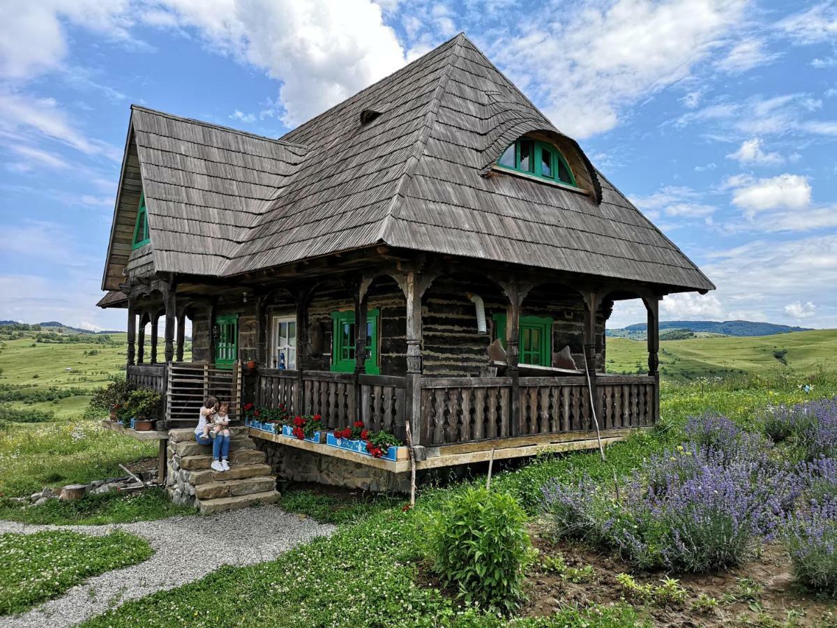 Casa Glod Guest House Glod  Екстериор снимка