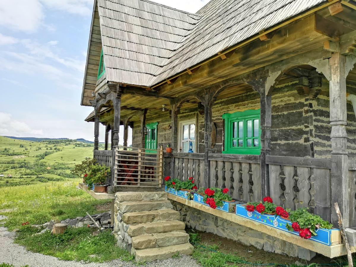 Casa Glod Guest House Glod  Екстериор снимка