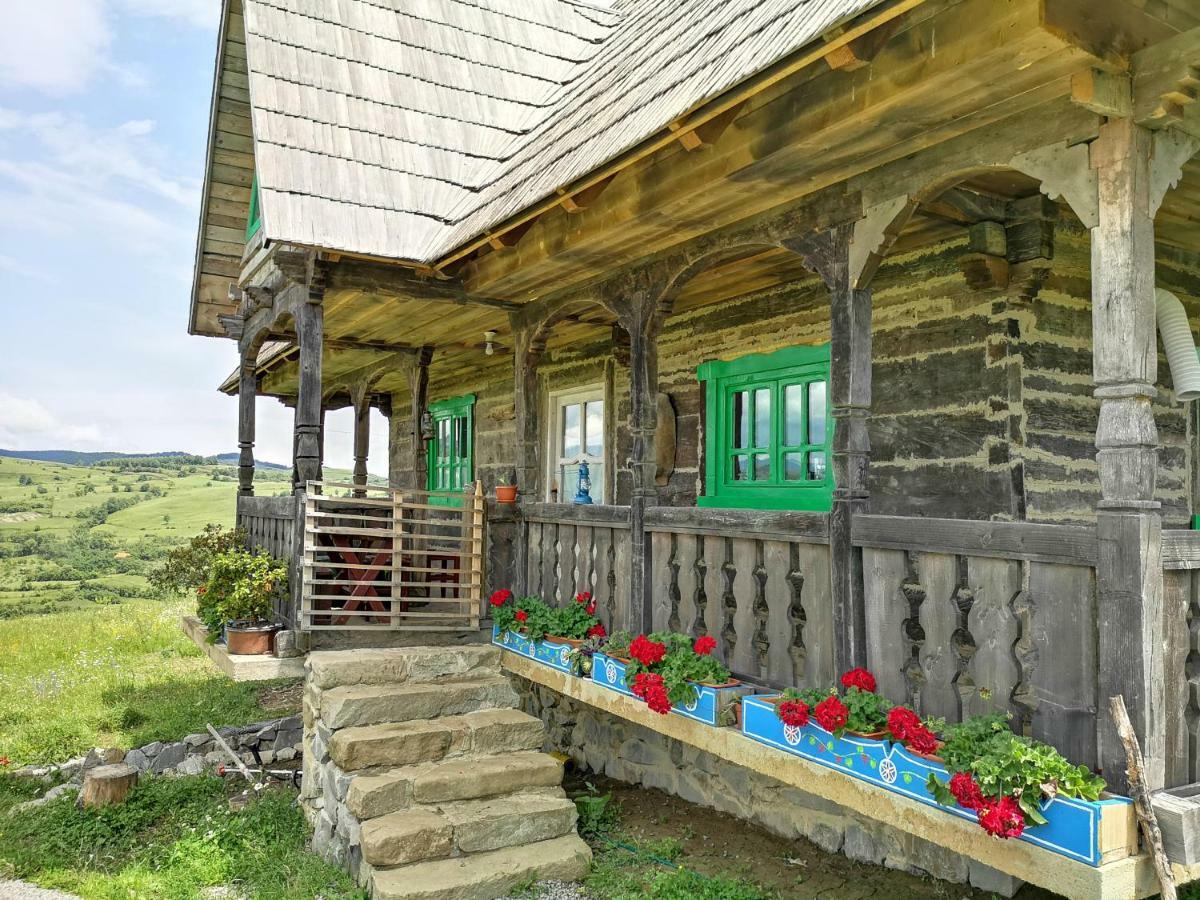 Casa Glod Guest House Glod  Екстериор снимка