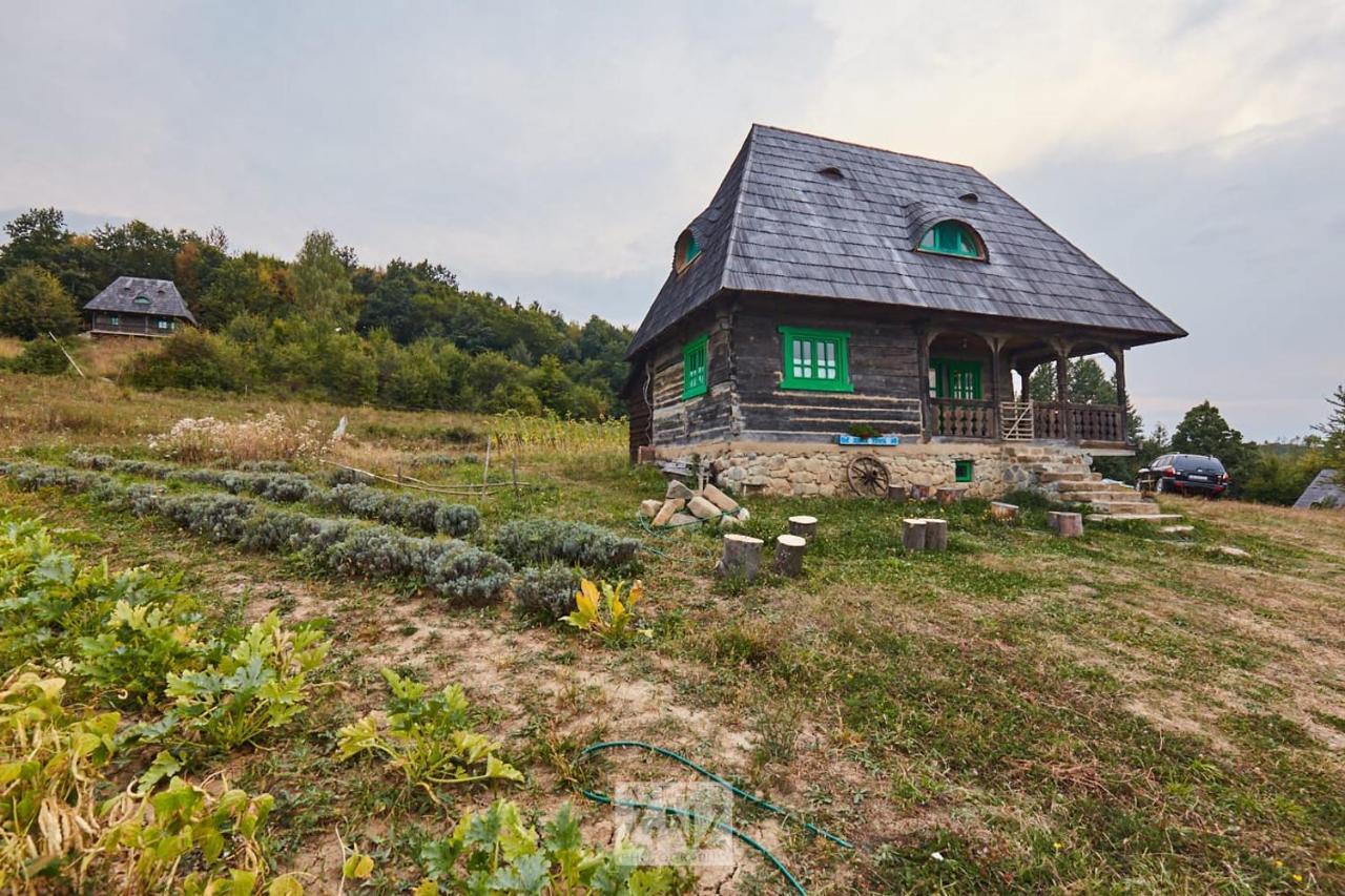 Casa Glod Guest House Glod  Екстериор снимка